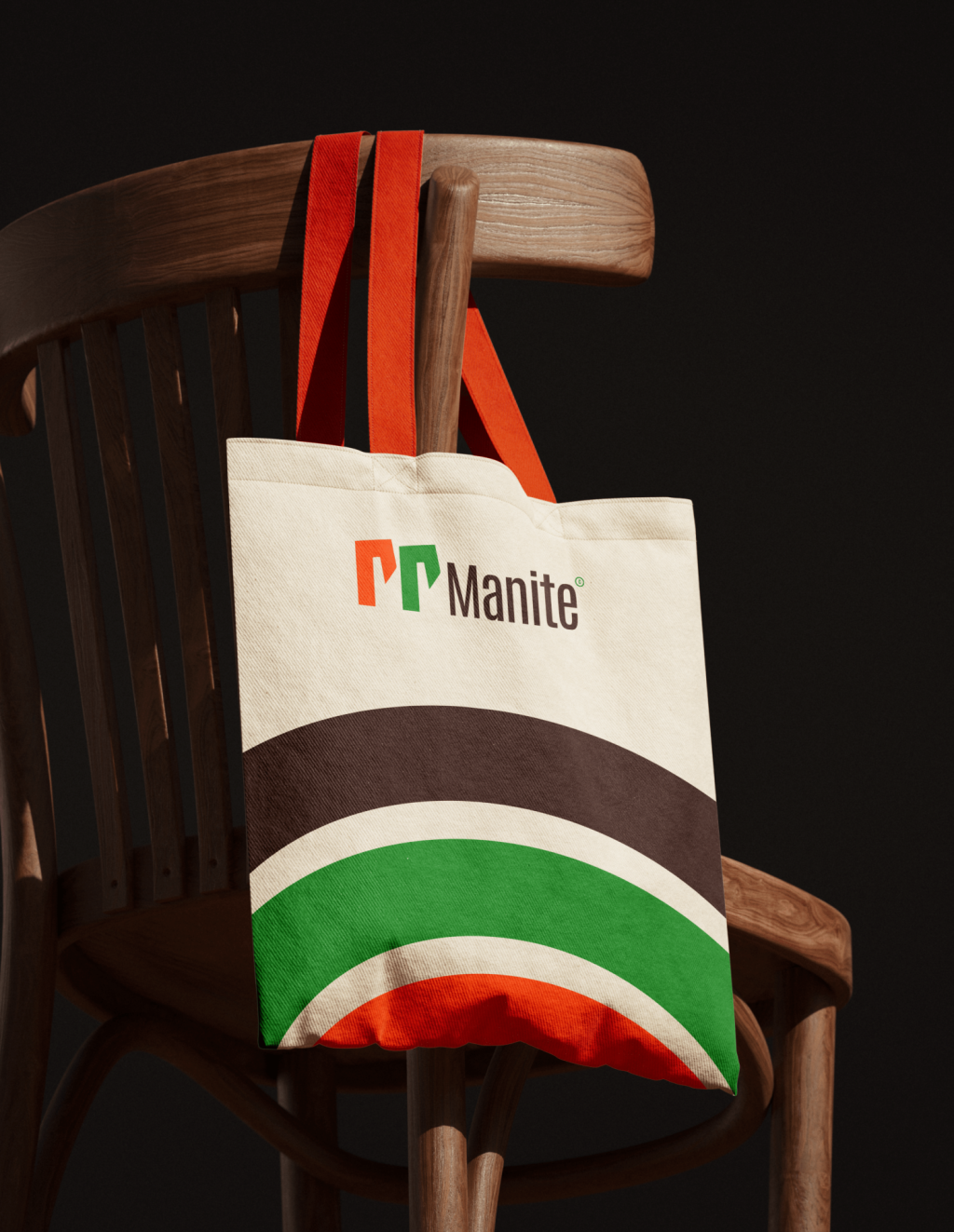Puma_Manite 115